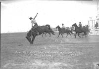 Joe Patterson on "Black Dog" Sheridan Rodeo