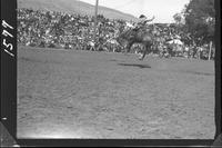 Bud Travis on Timber Cat