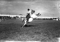 [Harold Alleman riding bronc]