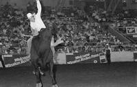 Kyle Whiting on Bull #B45