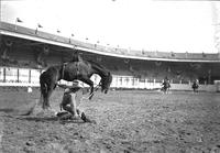 [Unidentified Cowboy lands in the dirt feet-first after leaving rearing bronc]