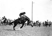 Dick Schlappert on "He'll Do" Sheridan Wyo. Rodeo