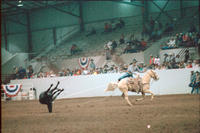 Shawn Burchett Steer roping