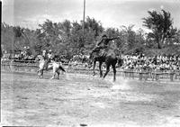 [Unidentified Cowboy riding airborne bronc]