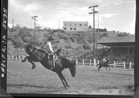 Jim Shoulders on Old Crow