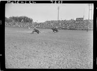 J.D. Holleyman Steer Rope