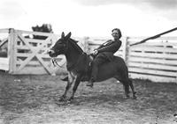 [Unidentified Lady mounted on mule]