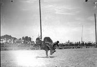 [Unidentified Cowboy leaving over head of bronc]