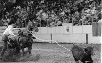 Jake McCoin Calf roping