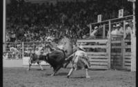 Buddy Kerr on Bull #136