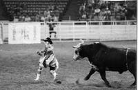 Rodeo clown Keith Fontenot Bull fighting