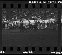 Butch Myers Steer wrestling