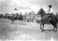 Turk Greenough on "Snakes" Cody Stampede