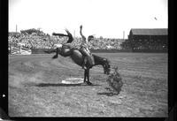 ?  "unknown rider and unknown horse"