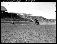 Ben Johnson Calf Roping