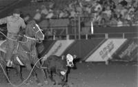 Jerry Jetton Calf roping