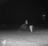 Shayne Mason Barrel racing