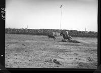 John Bowman Calf Roping