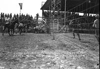 Grant Marshall and a bull go over the fence Ark-Okla Rodeo Ft. Smith, Ark