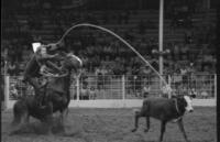 Allen Bates Calf roping