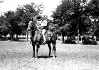[Possibly Turk Greenough posed on horse in park with automobiles behind]