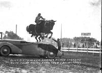 Alice Sisty in Her Famous Roman Standing Auto Jump, Rocky Ford, Colo.