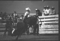 Randy O'Mara on Jumping Jack