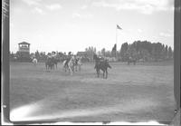 Women's Posse Drilling