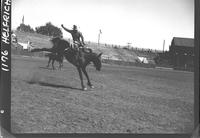 Bart Clennon on Empty Saddles