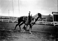 Malee Harding Trick Riding