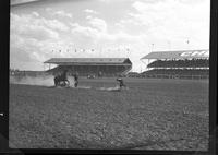 Doyle Riley Calf Roping