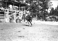[Unidentified Cowboy rides his bronc in front of six-chute structure]