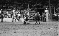 Mack Ford Steer wrestling