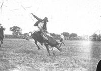 Wild Steer Riding, Hastings, Nebr.