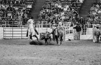 John Andrews Steer wrestling