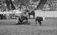 Bronc Rumford Calf roping