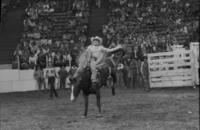 Unidentified rider on unknown mount