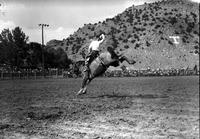 [Unidentified Cowboy losing hat while on saddle bronc which is completely airborne]