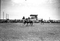 [Unidentified Cowboy atop horse having roped cowgirl on passing horse]