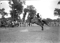 [Unidentified Cowboy riding bronc]