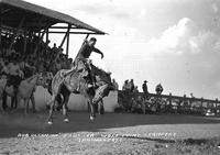 Bob Olson on "J Custer" Wolf Point Stampede