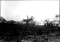 [Unidentified Cowboy bareback riding]