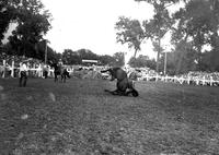 [Unidentified Cowboy maintains riding position as Saddle Bronc grounds itself head-first]