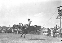 Fred Rush on "Gruyer" Pampa Rodeo