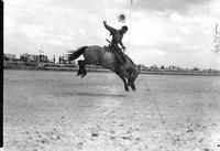 [Unidentified Cowboy riding and staying with bronc]