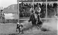 Jimmie Cooper Calf roping