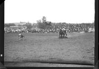 Pud Adair Calf Roping