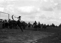 [Unidentified cowgirl on bronc suspended in air]