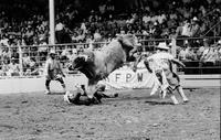 Dennis Humphrey on Bull #K3