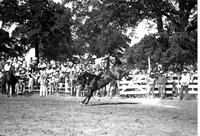 Vic Swartz on "Star" Ardmore Rodeo